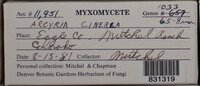 Image Associated With the Occurence